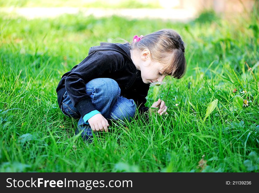 Little brunette child girl sitting in the grass and tenderly smelling a daisy. Little brunette child girl sitting in the grass and tenderly smelling a daisy