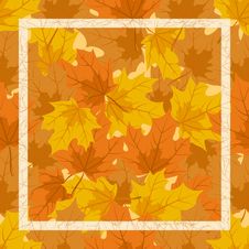 The Frame Of Autumn Leaves Royalty Free Stock Photography The Frame Of Autumn Leaves Royalty Free Stock Photography