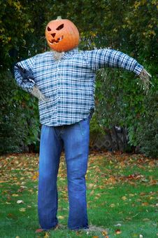Scarecrow With Jack O Lantern Head Stock Photography Scarecrow With Jack O Lantern Head Stock Photography