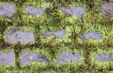 Moss And Stones Royalty Free Stock Photo Moss And Stones Royalty Free Stock Photo