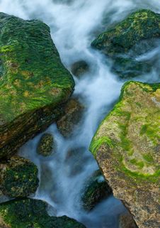 Rocks And Weed At Sea Coast Stock Photography Rocks And Weed At Sea Coast Stock Photography
