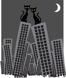 Two Cats On The Skyscrapers Roof In Love Watching Stock Photos Two Cats On The Skyscrapers Roof In Love Watching Stock Photos