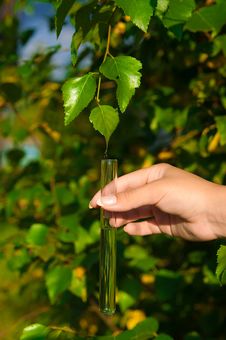 Test-tube With Water Stock Photos Test-tube With Water Stock Photos