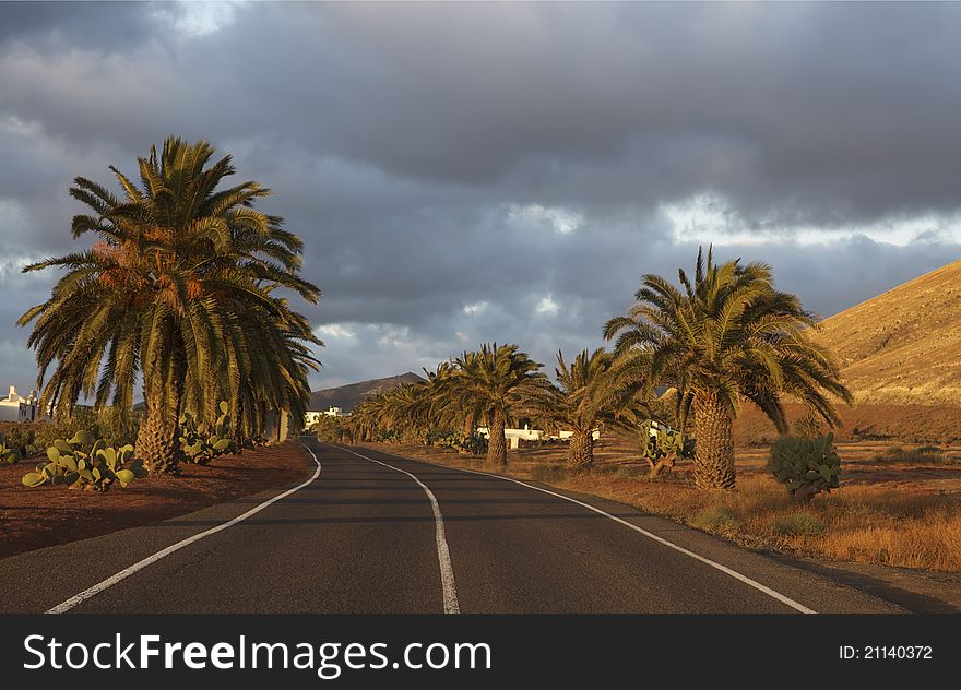 Very low sunlight gives an orange color to the landscape of Lanzarote. Very low sunlight gives an orange color to the landscape of Lanzarote.