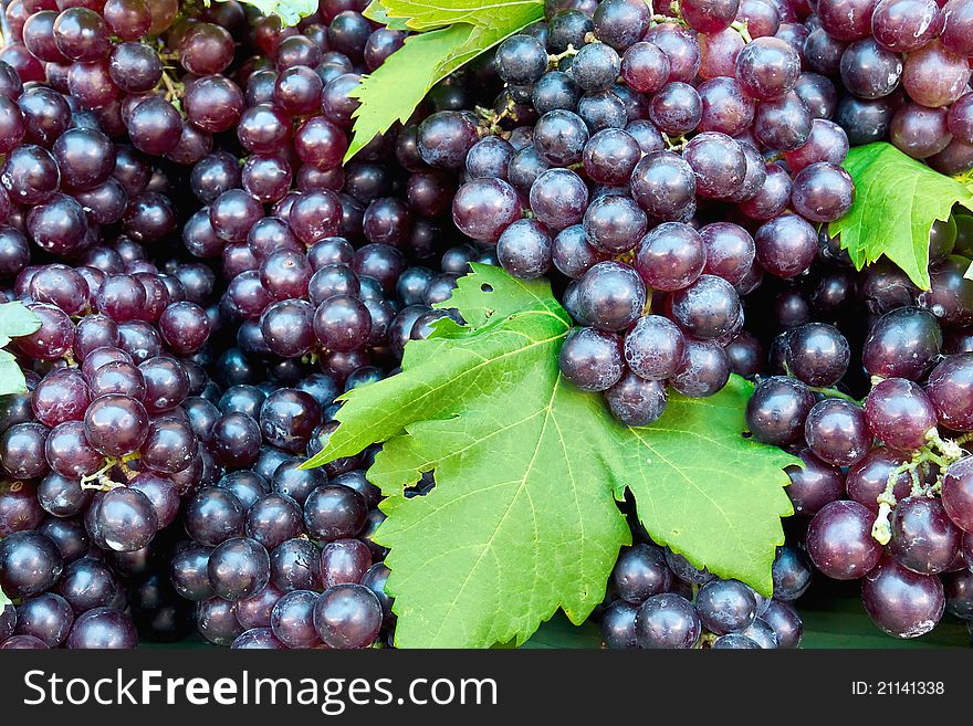 Fresh grape cluster with green leafs