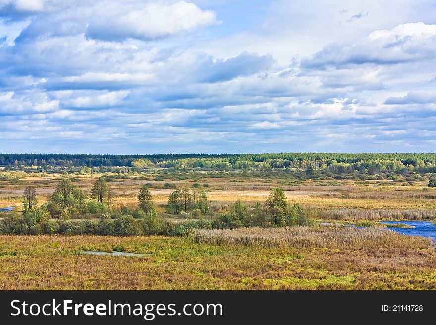 Landscape with forest and sky. Landscape with forest and sky