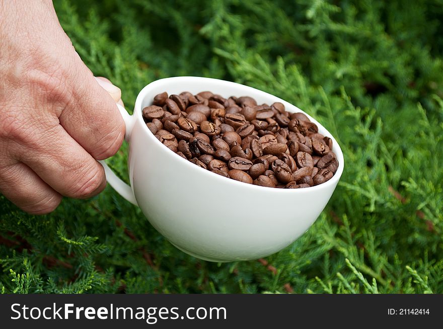 White cup full of coffee beans in hand on green background