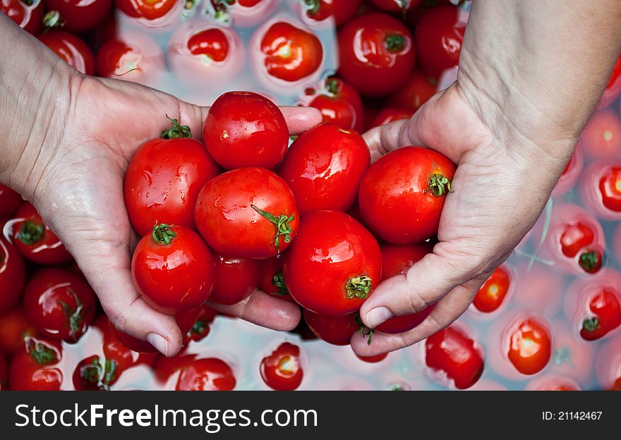 Woman wash fresh and natural tomatoes in a bowl