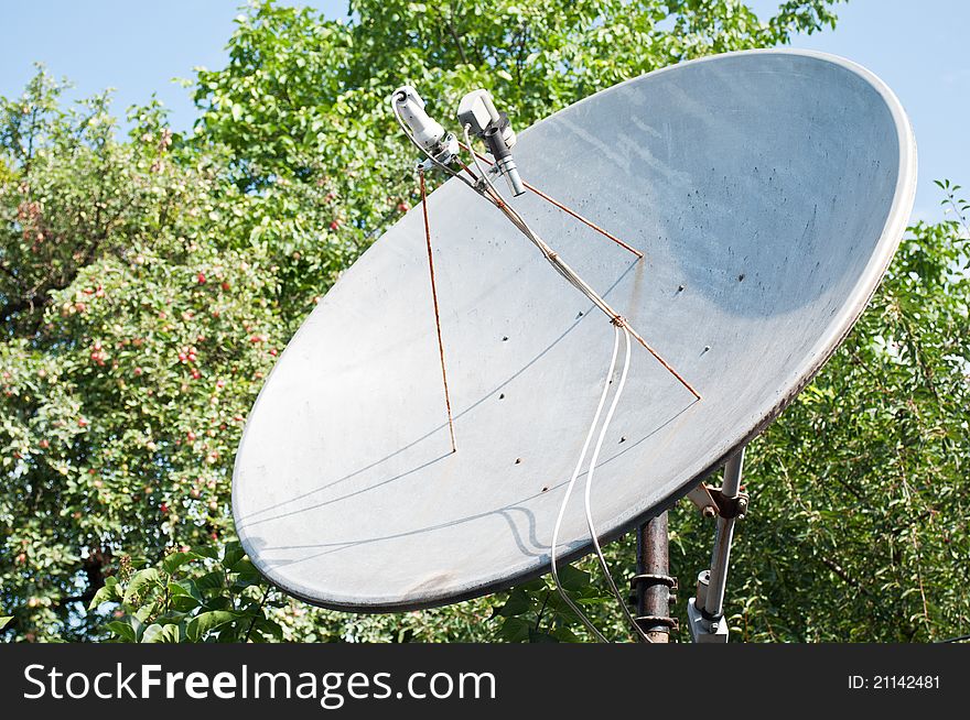 Satellite dish for household use and trees on a background