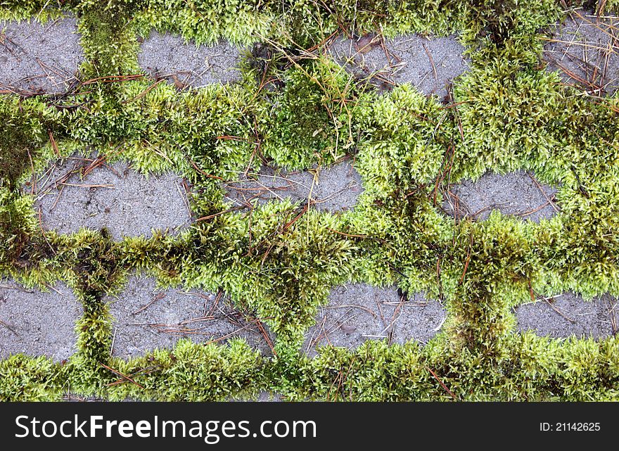 A closeup view of stone way with green moss between stones. Suitable for an abstract background. A closeup view of stone way with green moss between stones. Suitable for an abstract background.