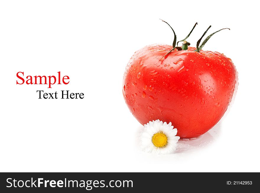 Fresh tomato and flowers isolated on a white background