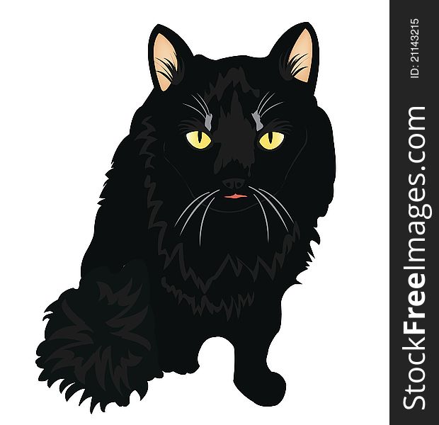 Drawing of the black cat on white background