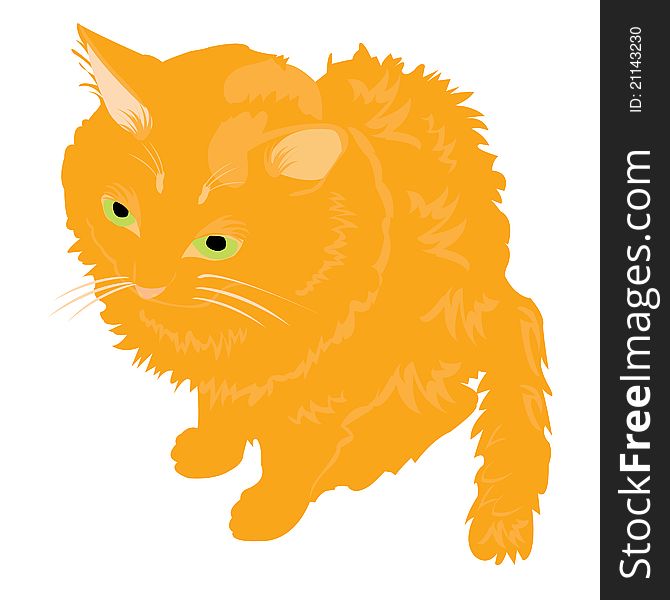 Illustration Redhead Cat