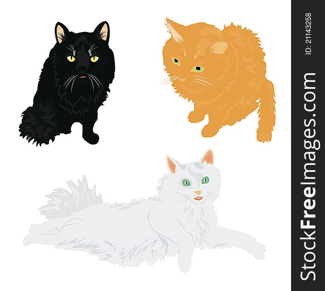 Illustration cat on white background is insulated. Illustration cat on white background is insulated