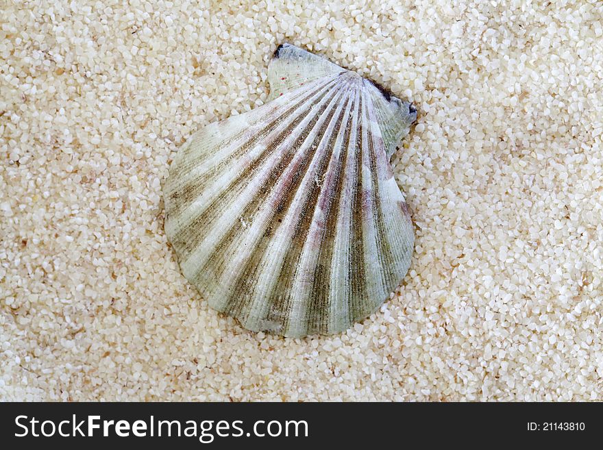 on a sandy seashore on a sunny summer day. on a sandy seashore on a sunny summer day.