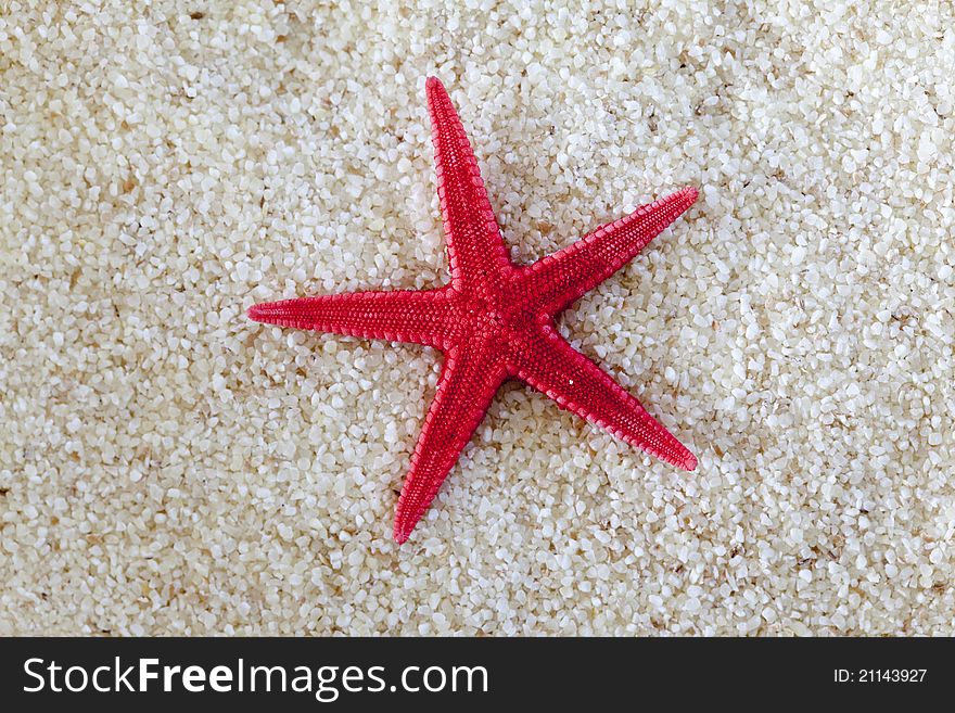 Sea-star on a sandy seashore on a sunny summer day. Sea-star on a sandy seashore on a sunny summer day.