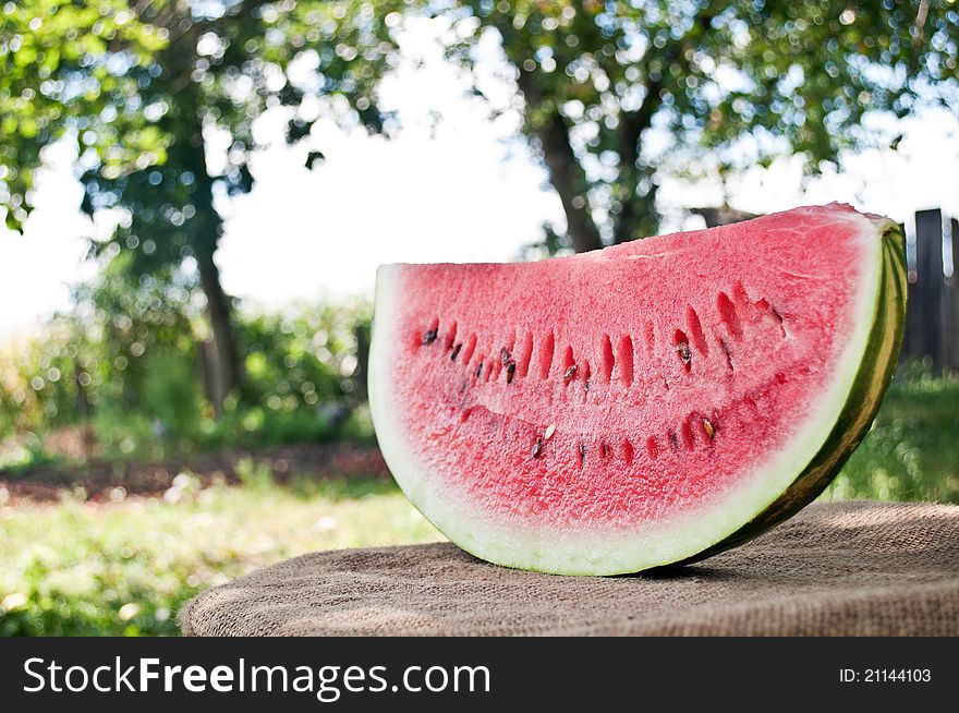 Fresh piece of watermelon in a orchard