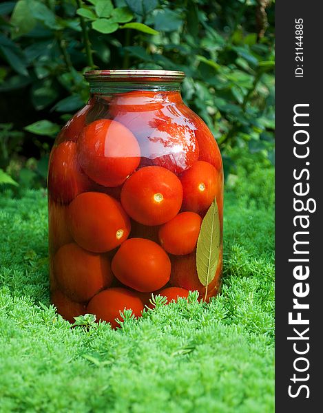 Marinated tomatoes in the pot on a green grass background