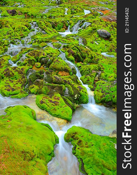 Green moss with water stream in japan