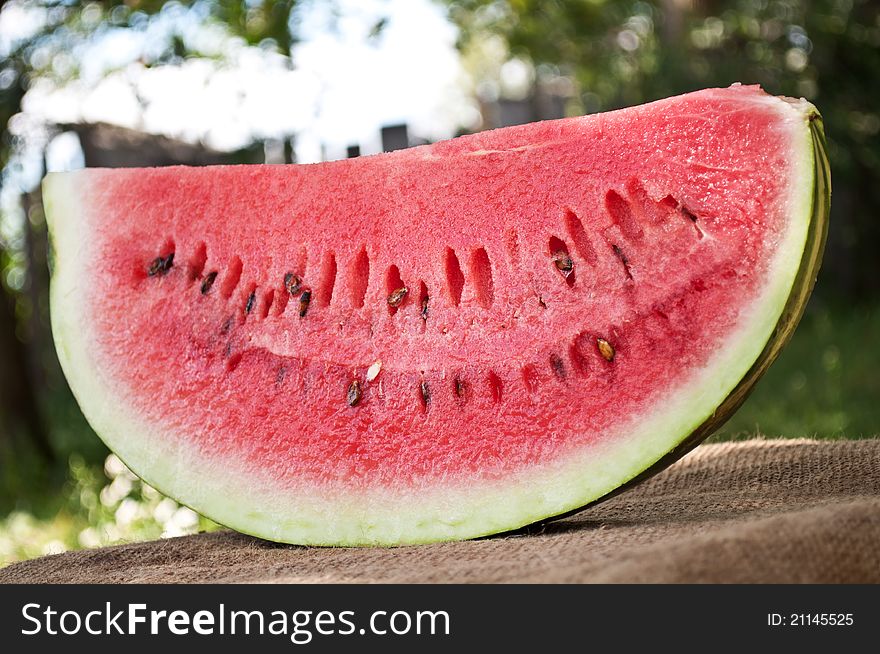 Fresh piece of watermelon in a orchard