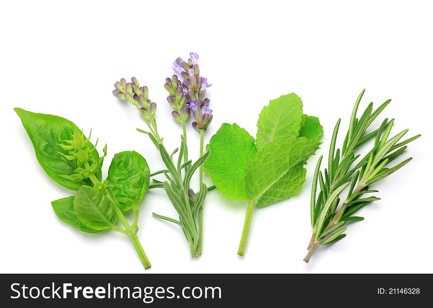 I display various herb and I took it in a white background.