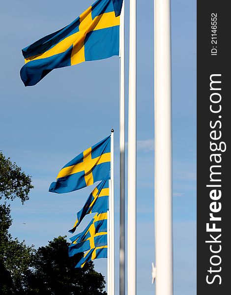 Swedish flags blowing in the wind