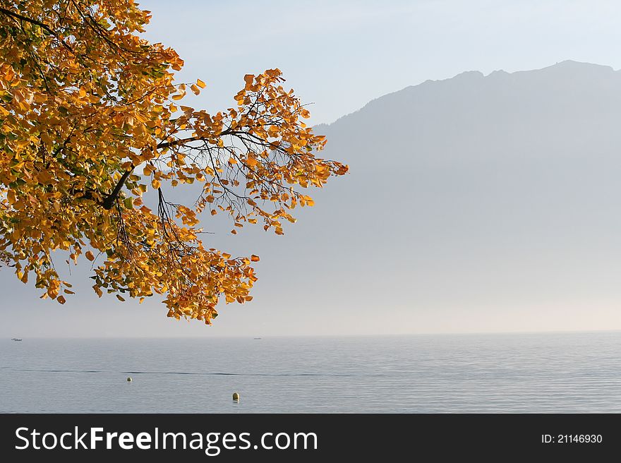 Landscape of the Geneva lake