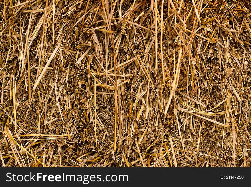 Close up of ground. Texture of straw