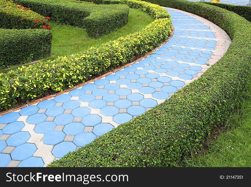 Pathway in the garden