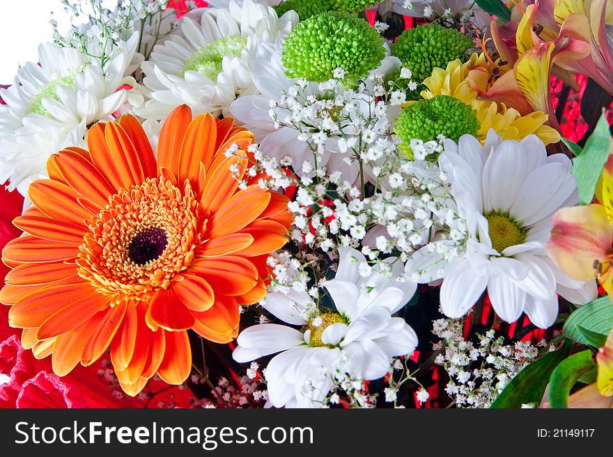 Beautiful isolated bouquet of flowers over white background