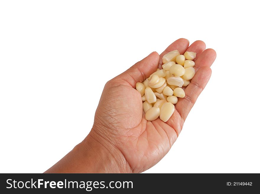 Clove of garlic in handisolated on white background