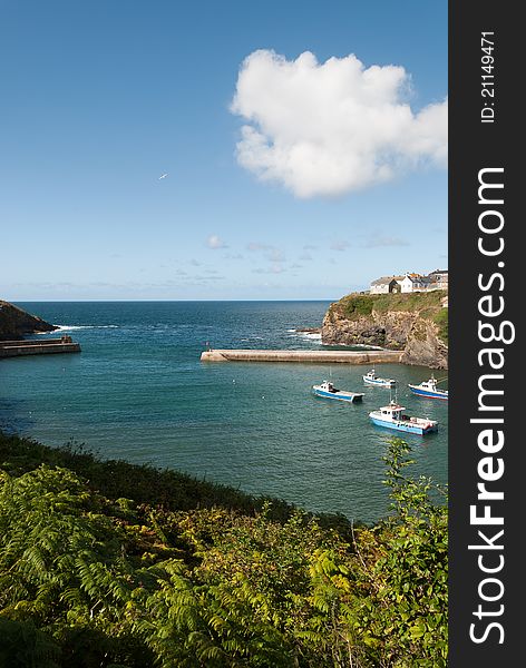 View of the harbor of Port Isaac in Cornwall