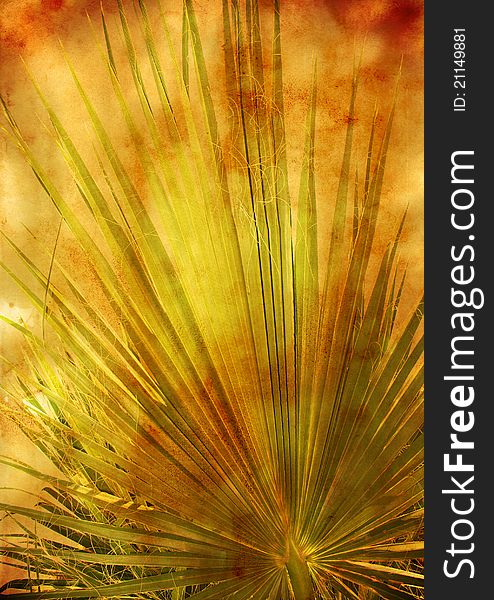 Abstract floral background with palm leaf, patina texture. Abstract floral background with palm leaf, patina texture