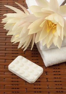 Spa Composition With Waterlilies Stock Photography Spa Composition With Waterlilies Stock Photography