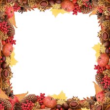 Autumn Leaves And Fruits Isolated Royalty Free Stock Photography Autumn Leaves And Fruits Isolated Royalty Free Stock Photography