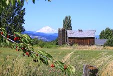 Mount Adams With Red Barn Royalty Free Stock Image Mount Adams With Red Barn Royalty Free Stock Image