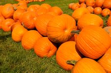 Pumpkins Stock Image Pumpkins Stock Image