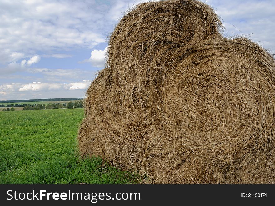 Straw Bales On Farmland