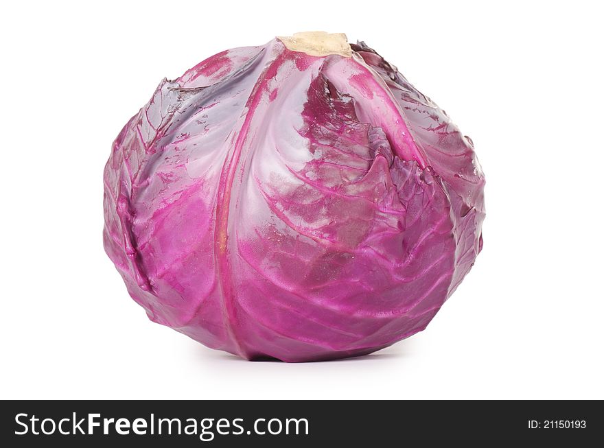 The red cabbage on white background