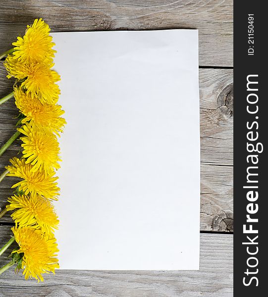The yellow dandelion on a wooden surface background