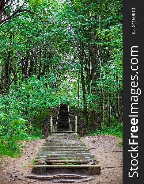 Wooden stairs with a wooden handrails created in the forest in Klaipeda, Lithuania. Wooden stairs with a wooden handrails created in the forest in Klaipeda, Lithuania