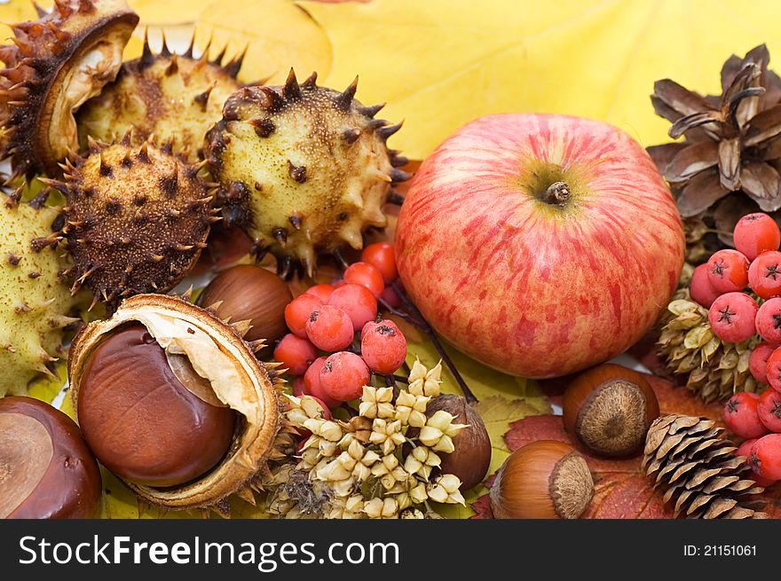 Autumn leaves and fruits