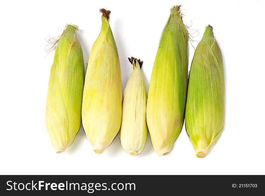 Bunch of 5 corns looks like a family. Bunch of 5 corns looks like a family.