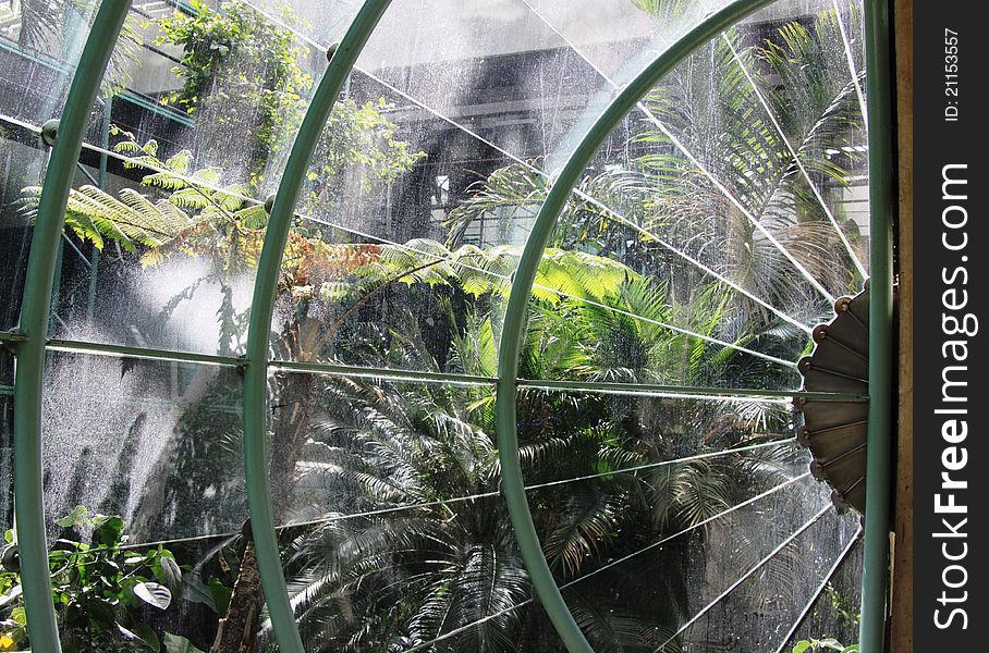 Garden Through Glass In Paris