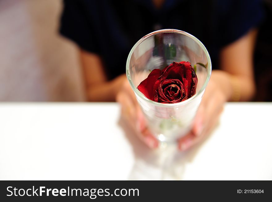 Woman hold a glass and red rose. Woman hold a glass and red rose