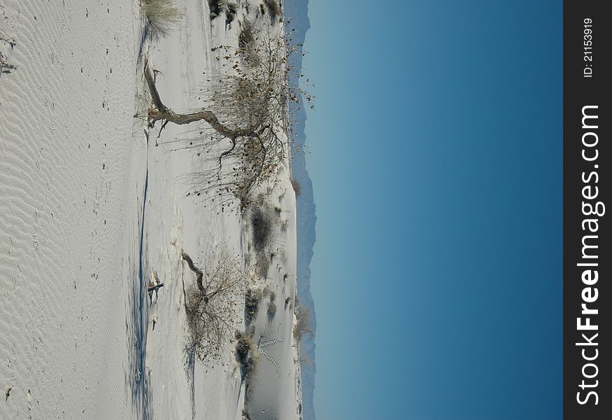 A view of a white sand desert. A view of a white sand desert