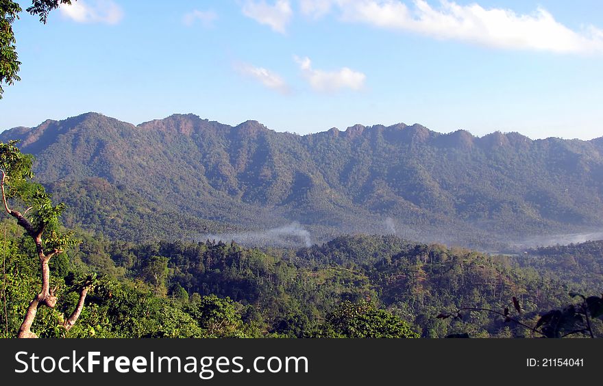 Tropical forest on Lombok island, Indonesia. Tropical forest on Lombok island, Indonesia