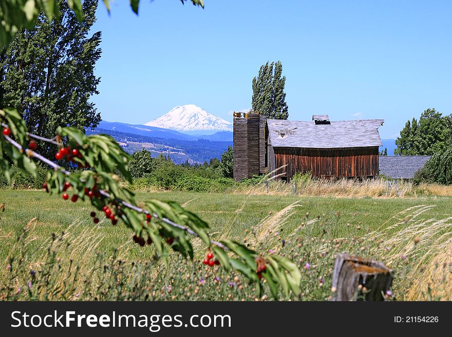 Mount Adams with Red Barn