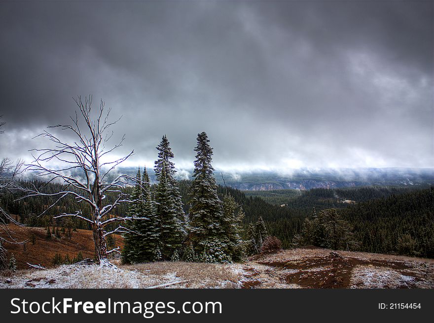 This photograph was taken within Yellowstone National Park one cold and cloudy day. This photograph was taken within Yellowstone National Park one cold and cloudy day.