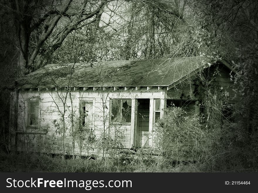 I found this house out in the woods where weeds and vines are the only residents now. I found this house out in the woods where weeds and vines are the only residents now.